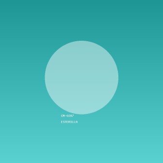 Esterilla moderno de madera de roble F27