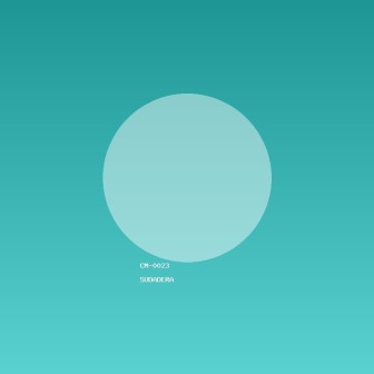 Sudadera versátil de cerámica I87